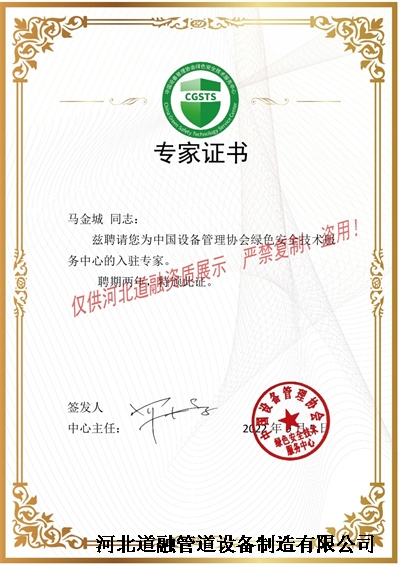 11馬金(jīn)城(chéng)-中國(guó)設備協會專家證書(水印).jpg