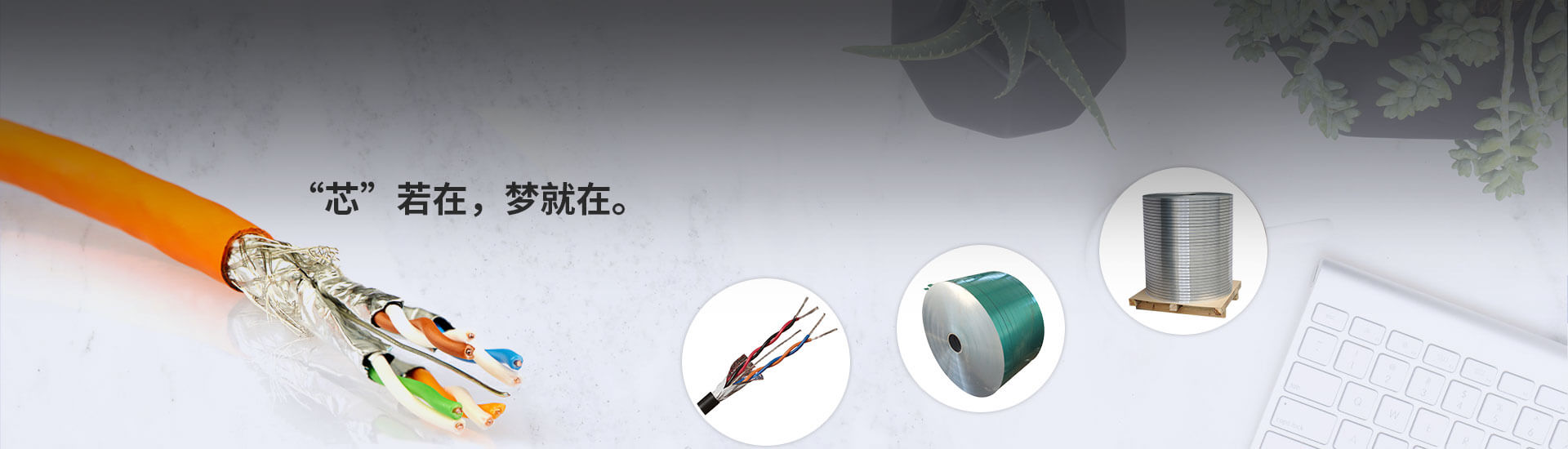 塑料塗層鋁帶（dài）用於電纜